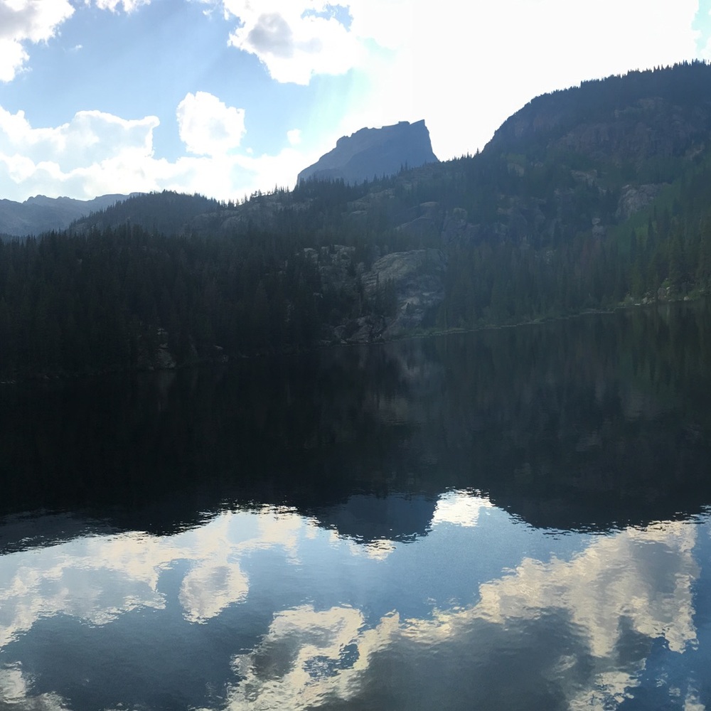 Meet your Posher, Amy